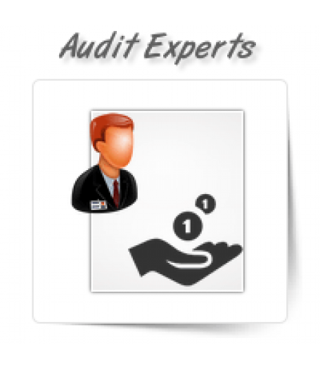 Accounts Payable/Receivable Audit Experts